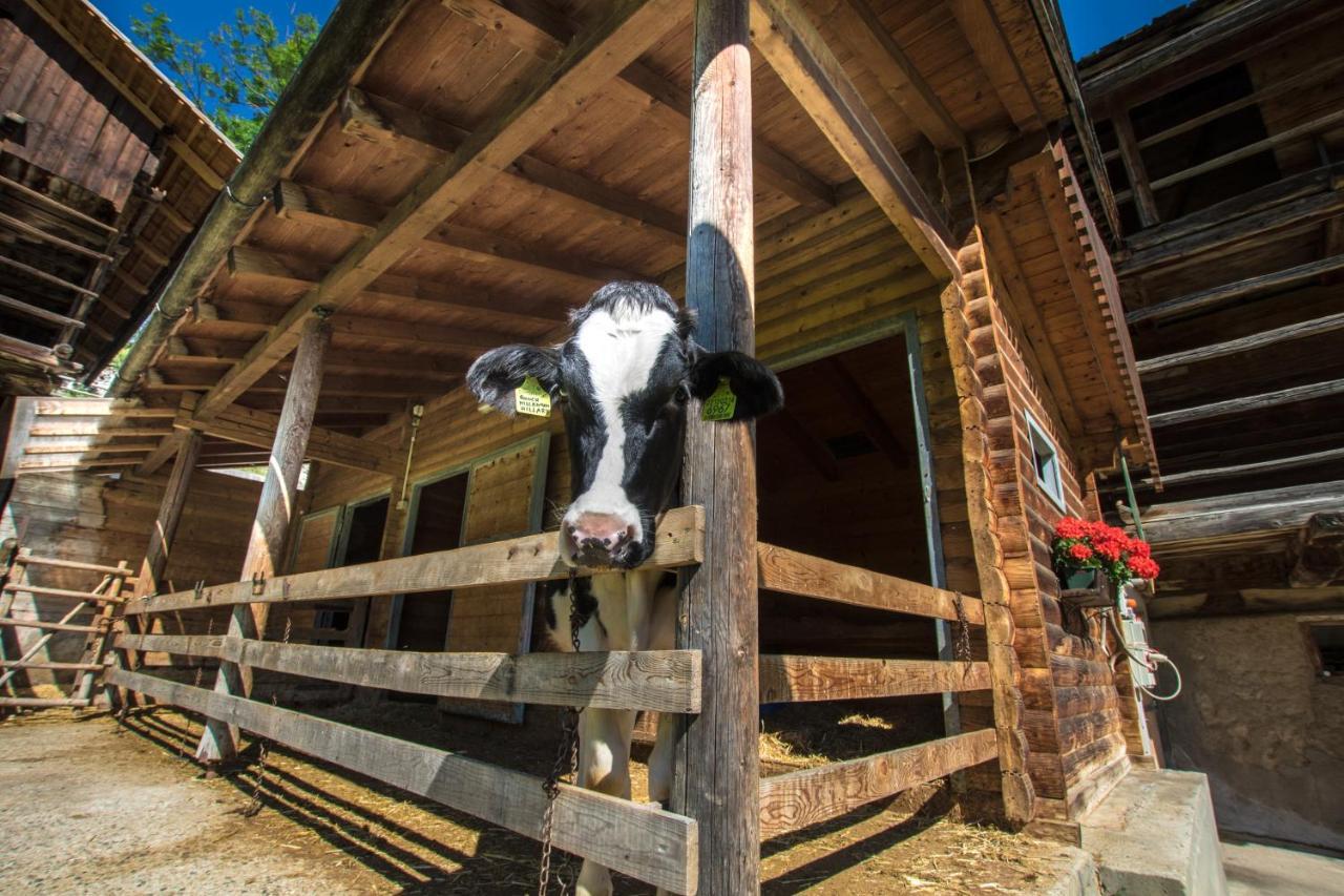Agriturismo Maso Runch Badia  Dış mekan fotoğraf