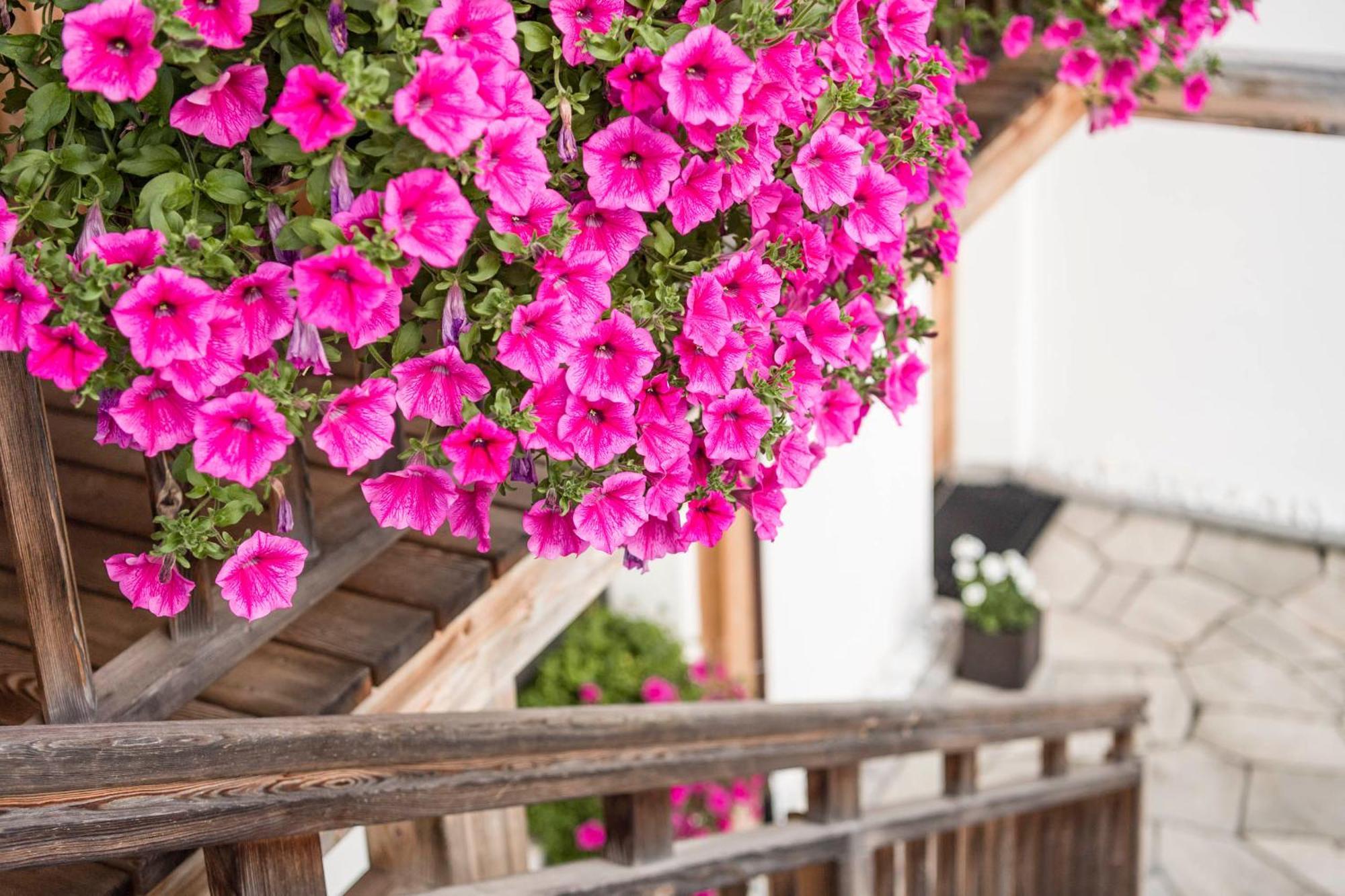 Agriturismo Maso Runch Badia  Dış mekan fotoğraf