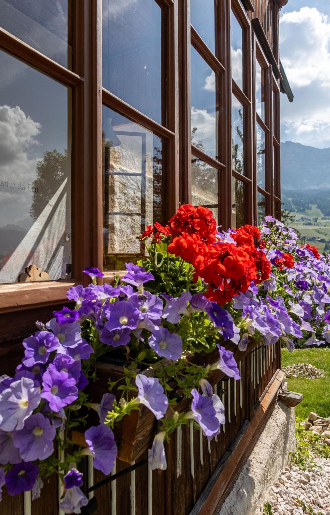 Agriturismo Maso Runch Badia  Dış mekan fotoğraf