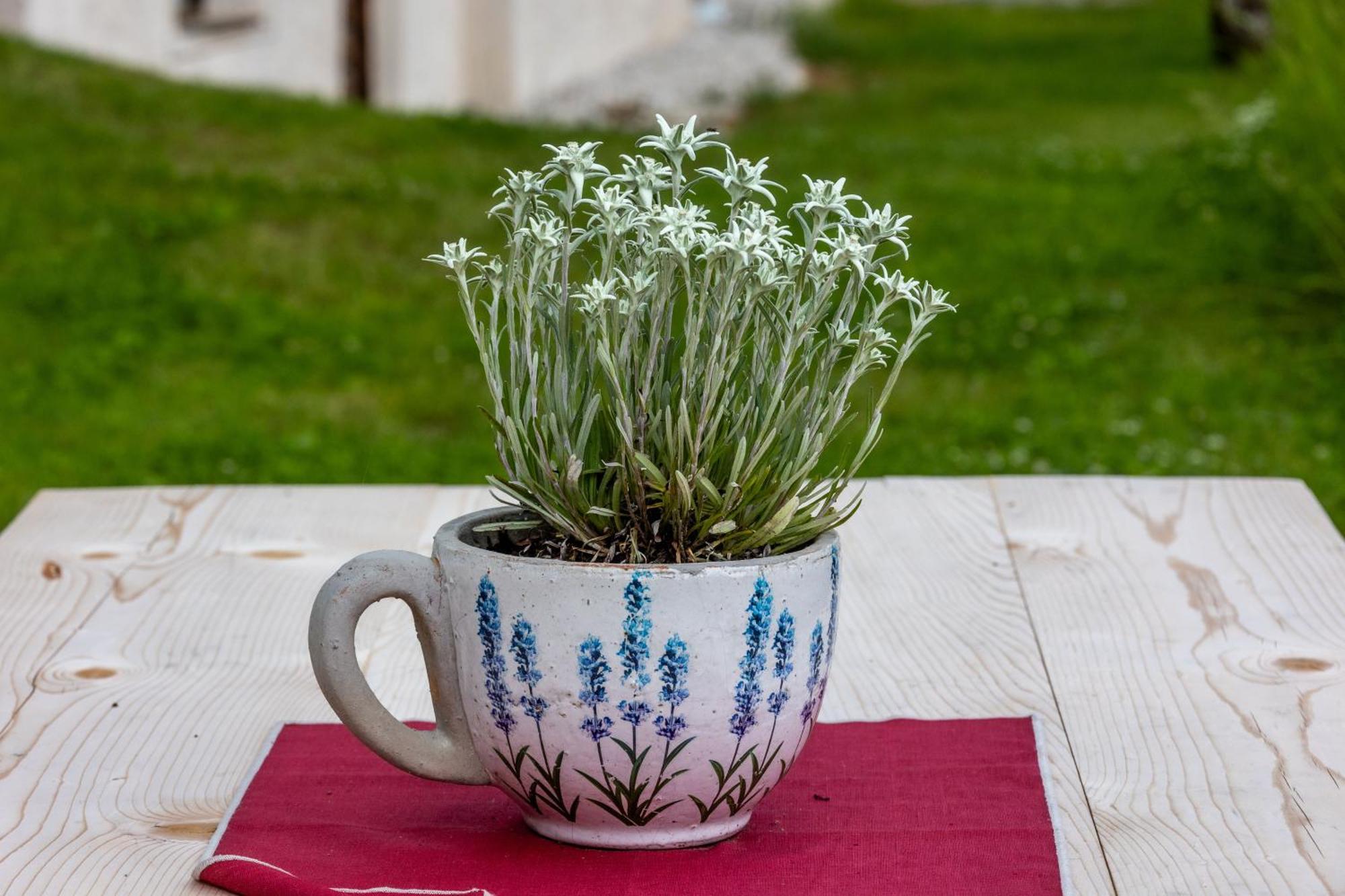 Agriturismo Maso Runch Badia  Dış mekan fotoğraf